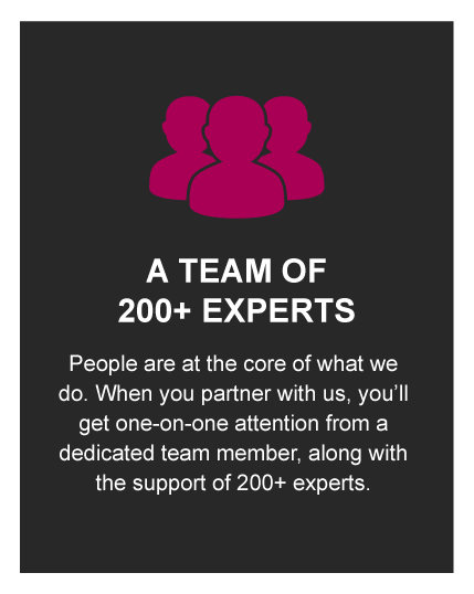 A Team of 200+ Experts